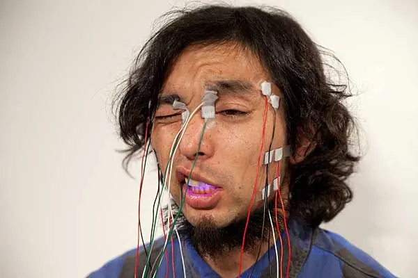 Cyber Arts Japan – Ars Electronica 30 Years for Art and Media Technology