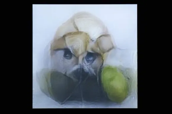 dissonant imaginary talk