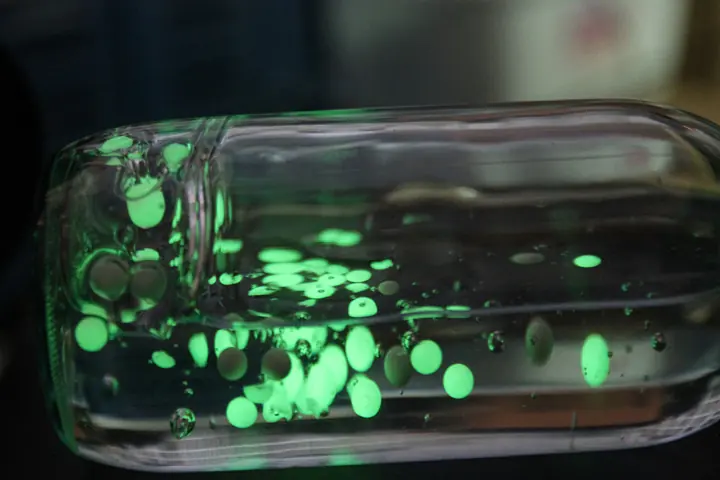 live visuals for Evala at UNIT making