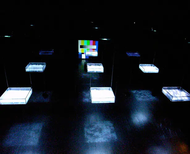 Life - fluid, invisible, inaudible...