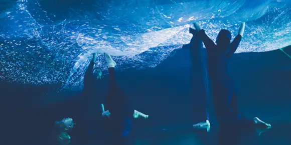 phosphere-rhizomatiks-research-x-elevenplay-2