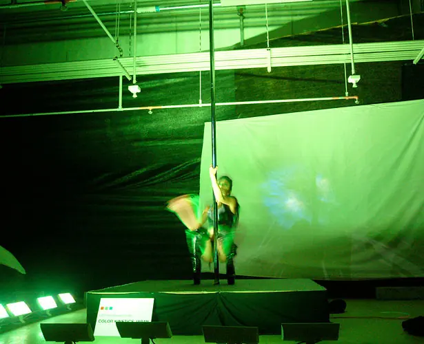 Interactive Lighting System for a Poledance