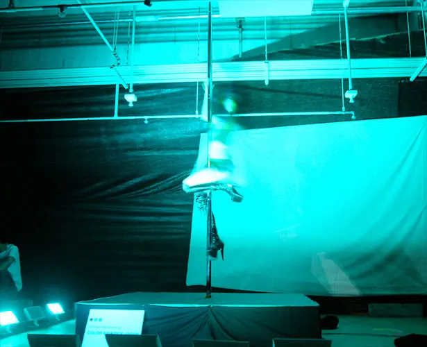 Interactive Lighting System for a Poledance