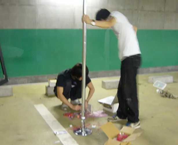 Interactive Lighting System for a Poledance