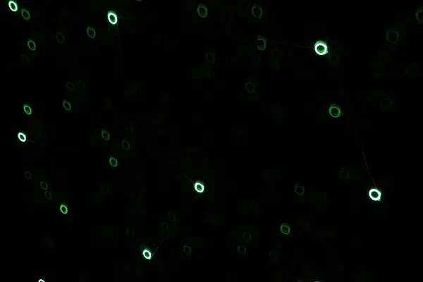 UV laser fade out test