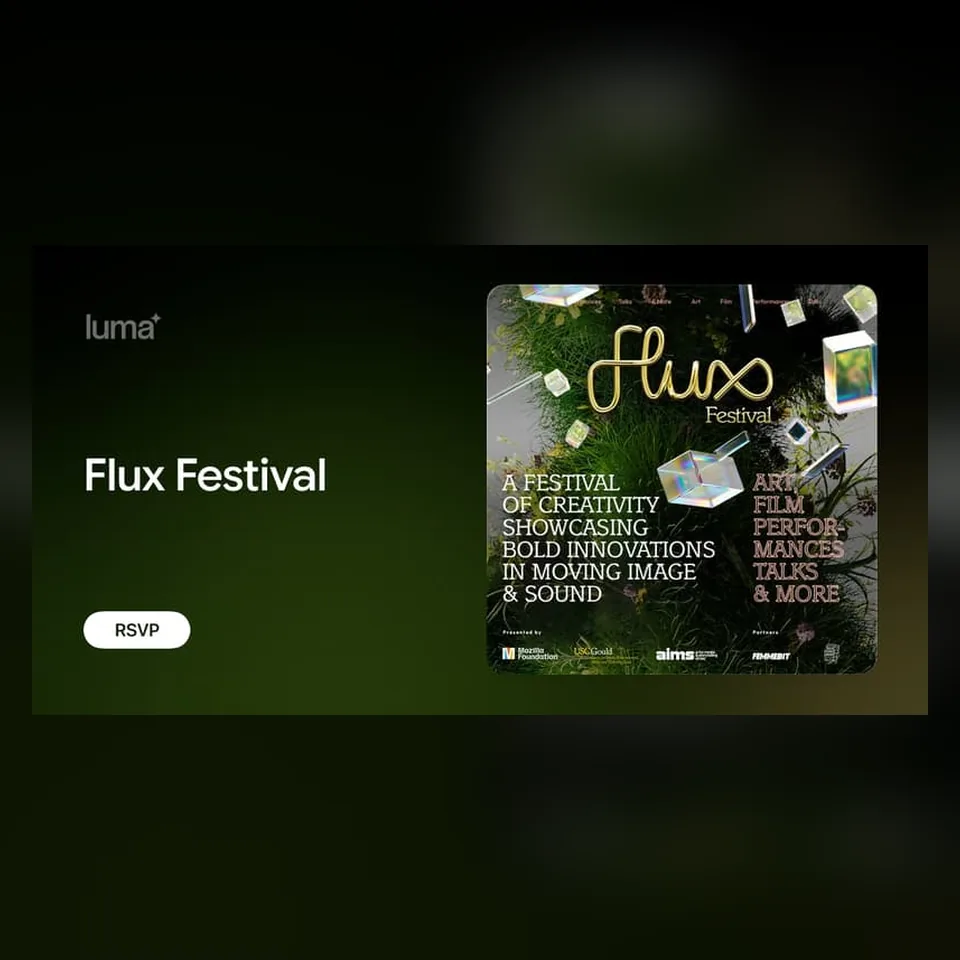 FLUX FESTIVAL